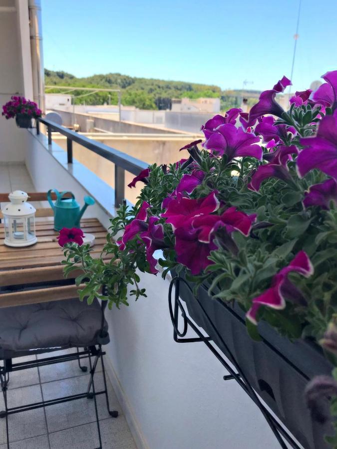 Odra Suites Otranto Exteriér fotografie